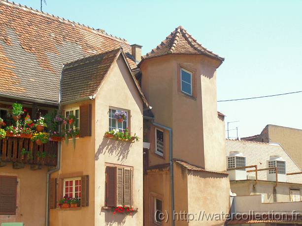 2007-07-14_11-33-30_Juillet_84,0mm_1_500_eme_DiMAGE A2 